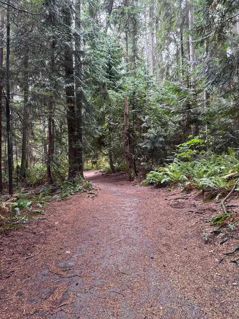 walking near me in Lynndale Park in autumn