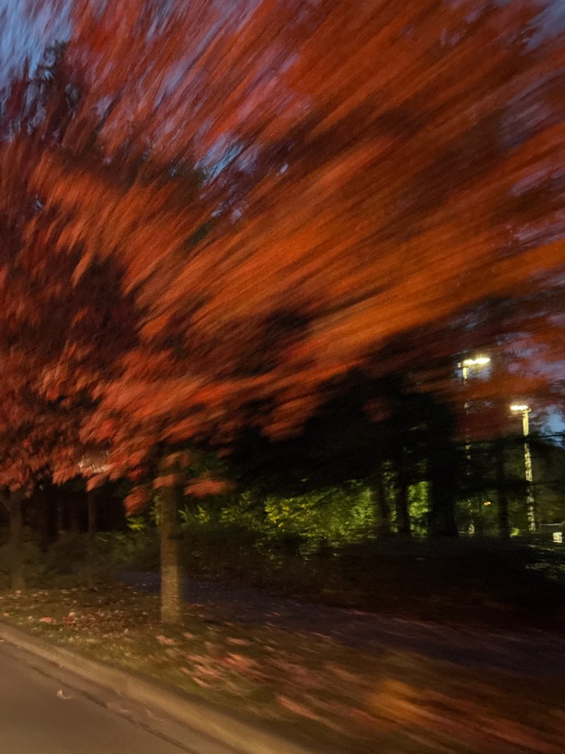 walking near me in Mill Creek Sports Park in autumn