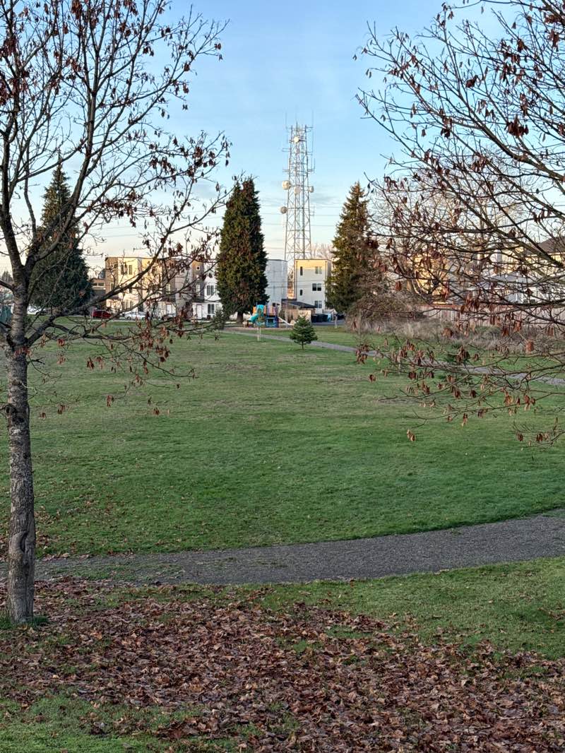walking near me in Lincoln Heights Park in winter