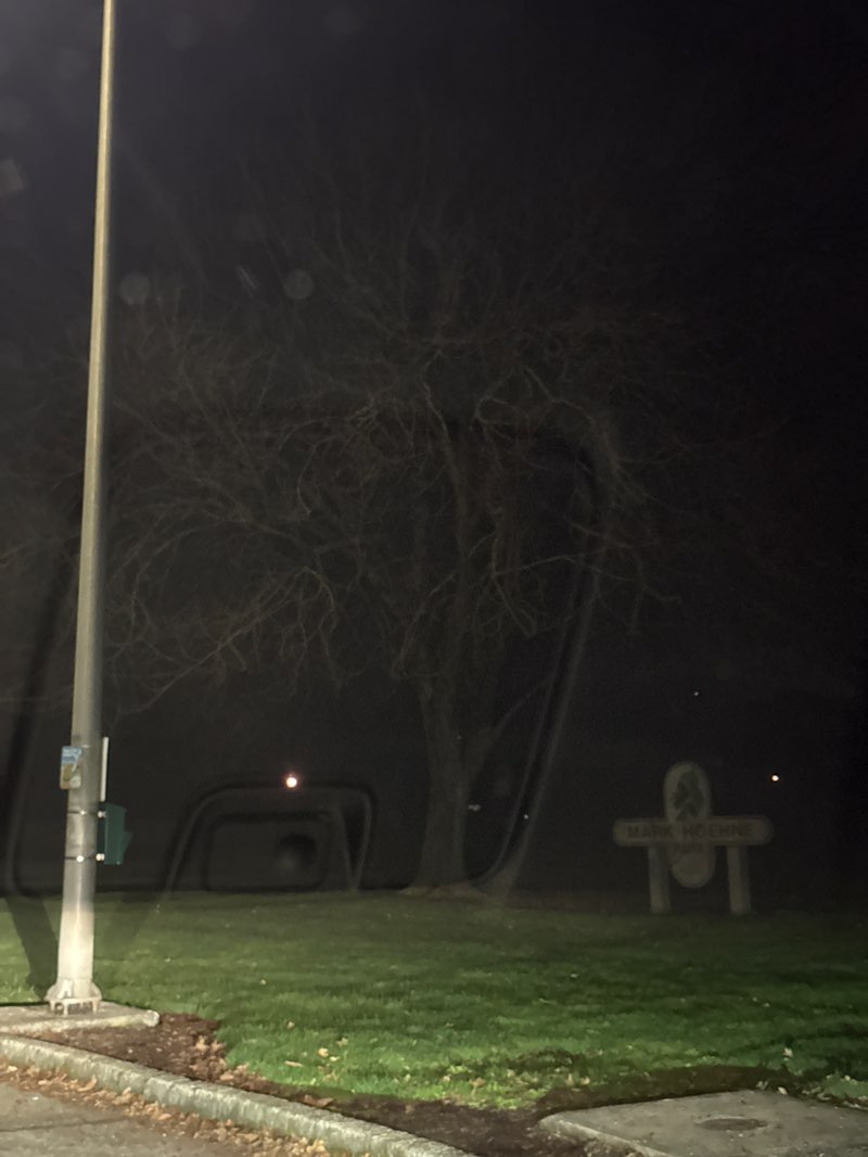 walking near me in Mark Hoehne Park in autumn