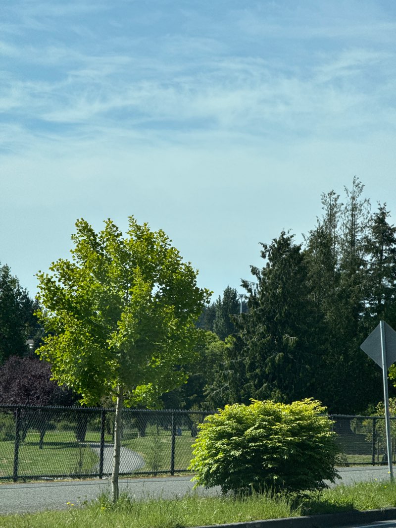 walking near me in Ballinger Park in spring