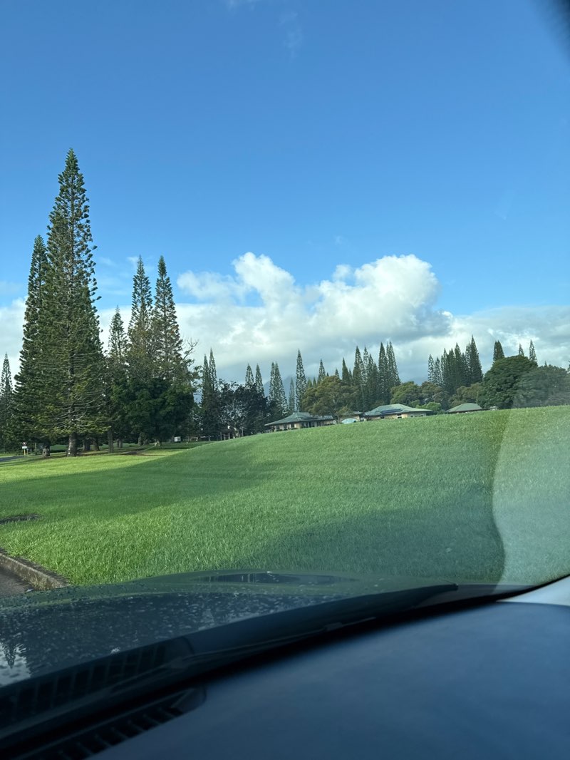 walking near me in Prince Albert Park in spring