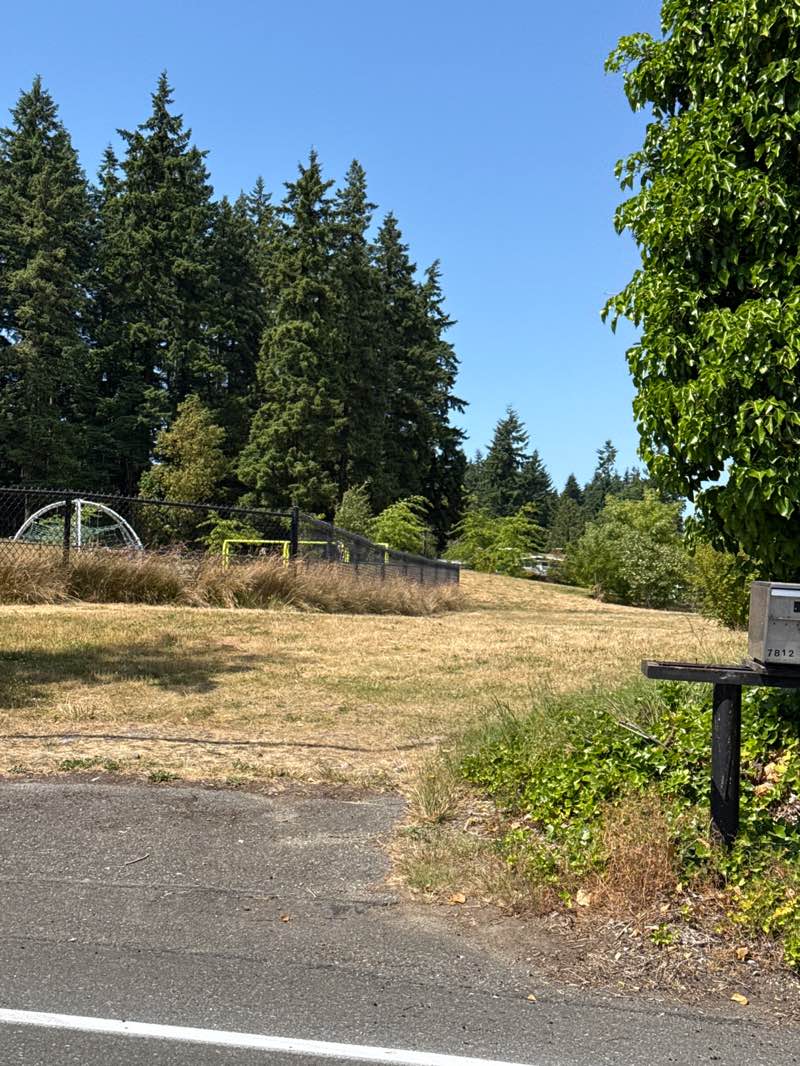 walking near me in Esperance Park in summer