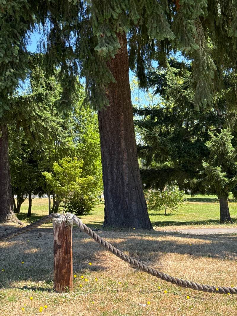 walking near me in Brier City Park in summer