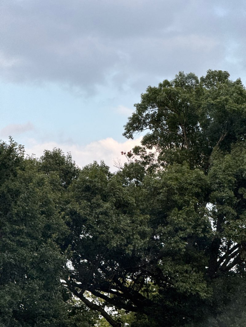 walking near me in Seneca Park in autumn