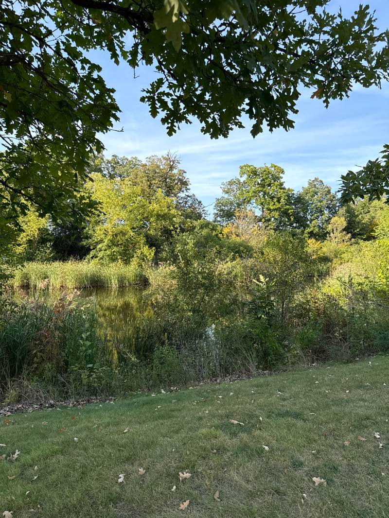 walking near me in Spring Creek Reservoir Forest Preserve in autumn