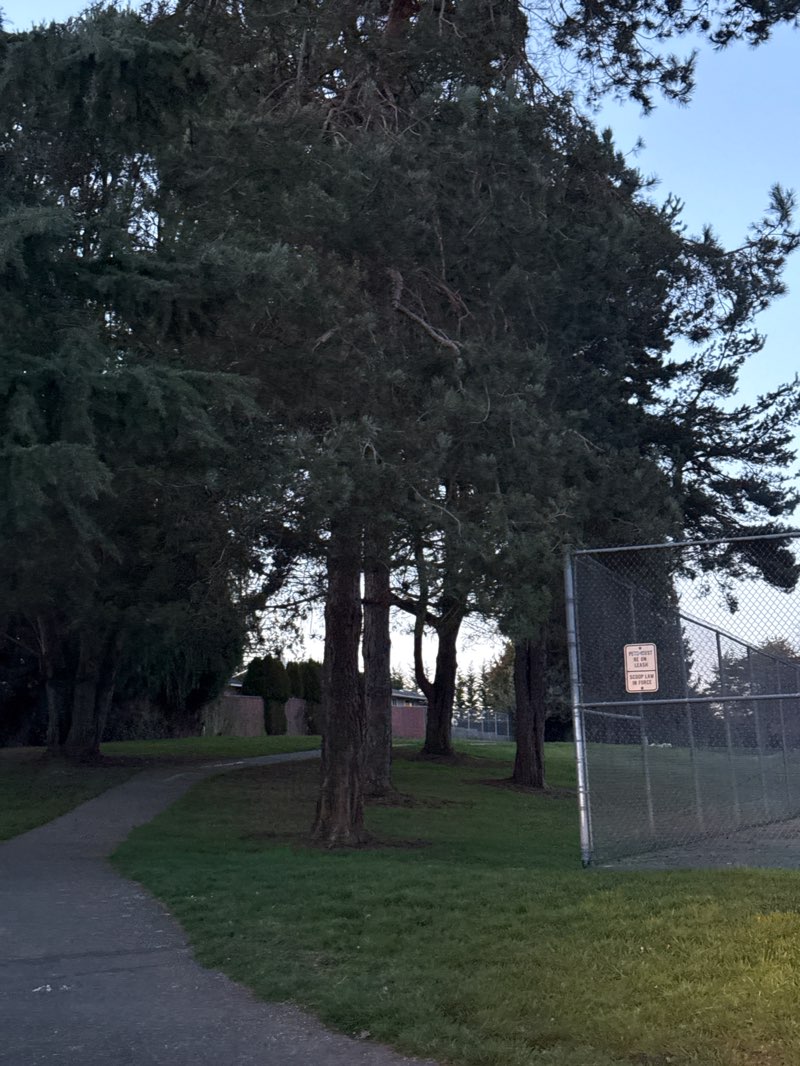 walking near me in Pioneer Park in winter