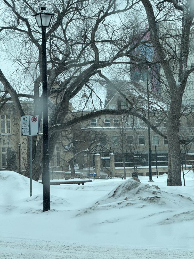 walking near me in Central Park in spring