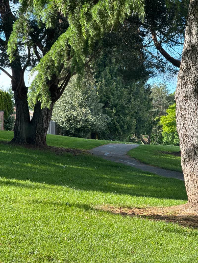 walking near me in Pioneer Park in summer