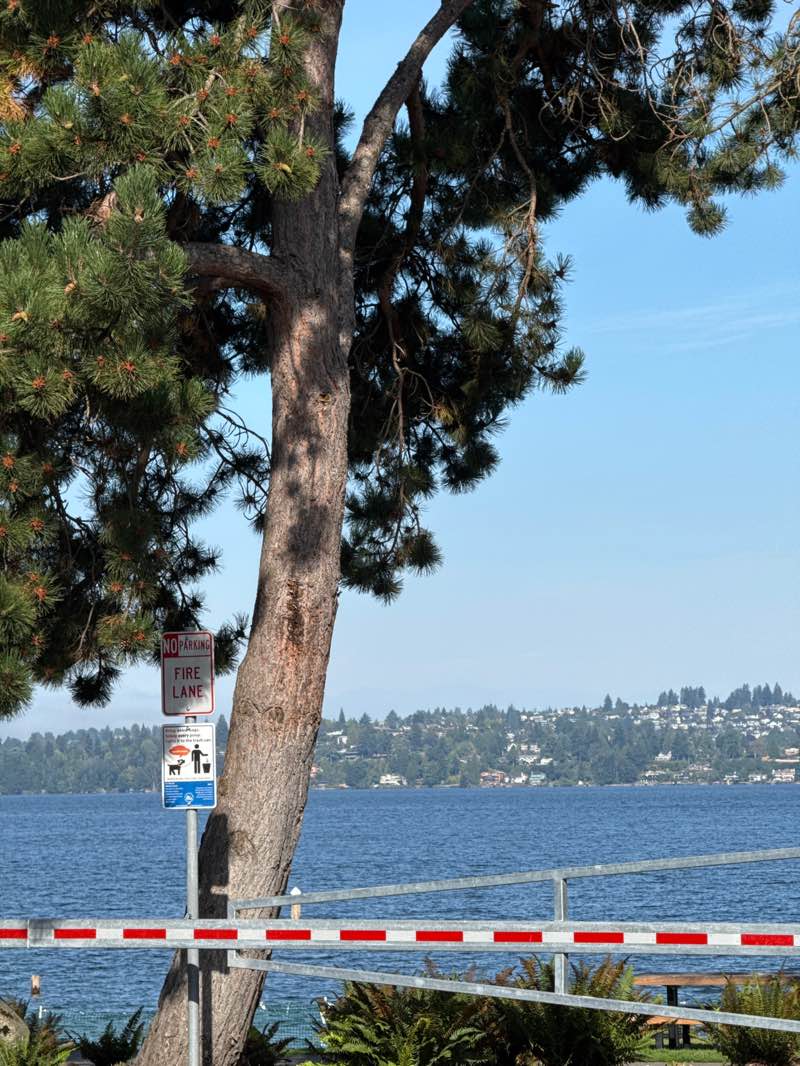 walking near me in Houghton Beach Park in summer