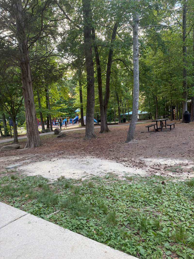 walking near me in Main Street Park in spring