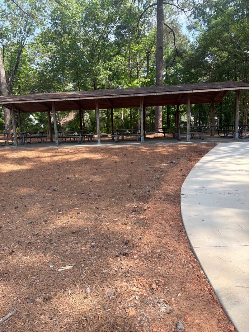 walking near me in Carolina Pines Park in spring