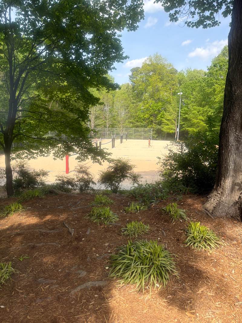 walking near me in North Cary Park in spring