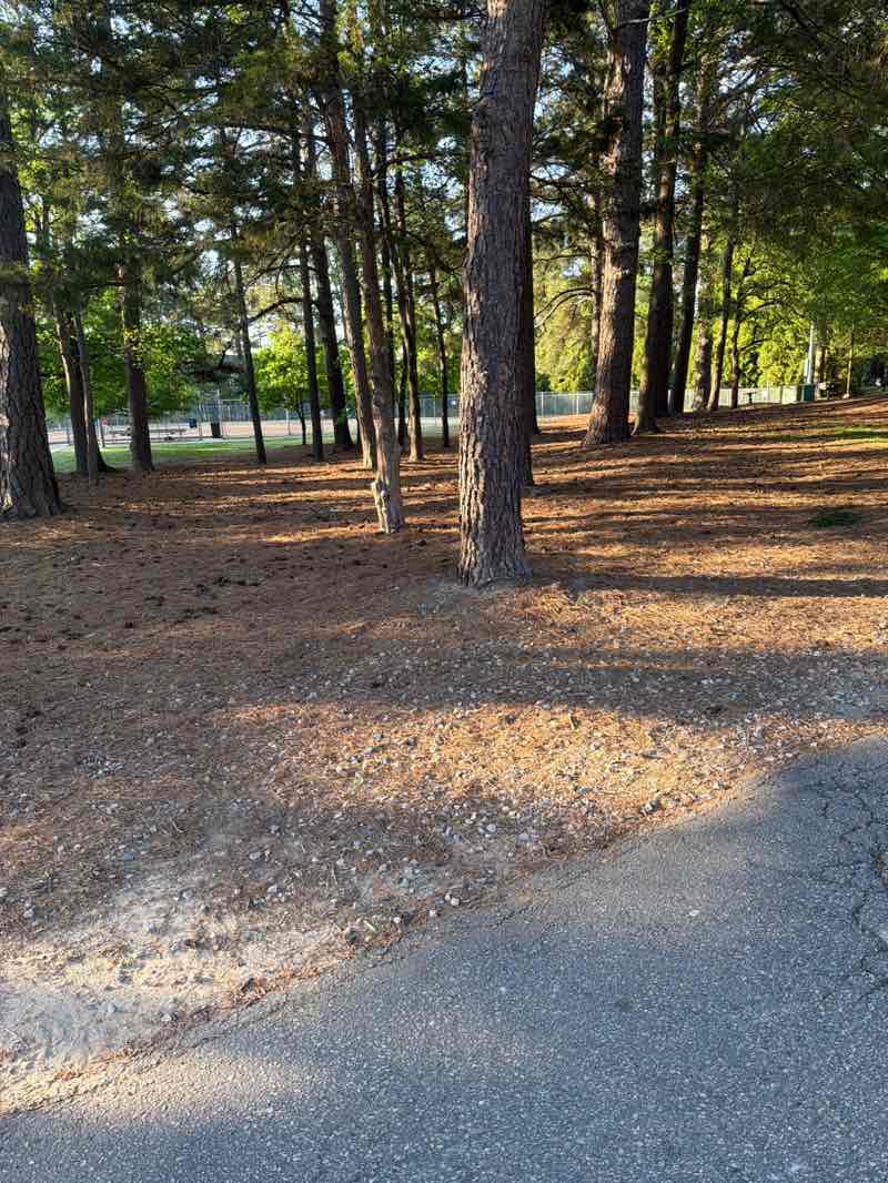 walking near me in Spring Forest Road Park in spring