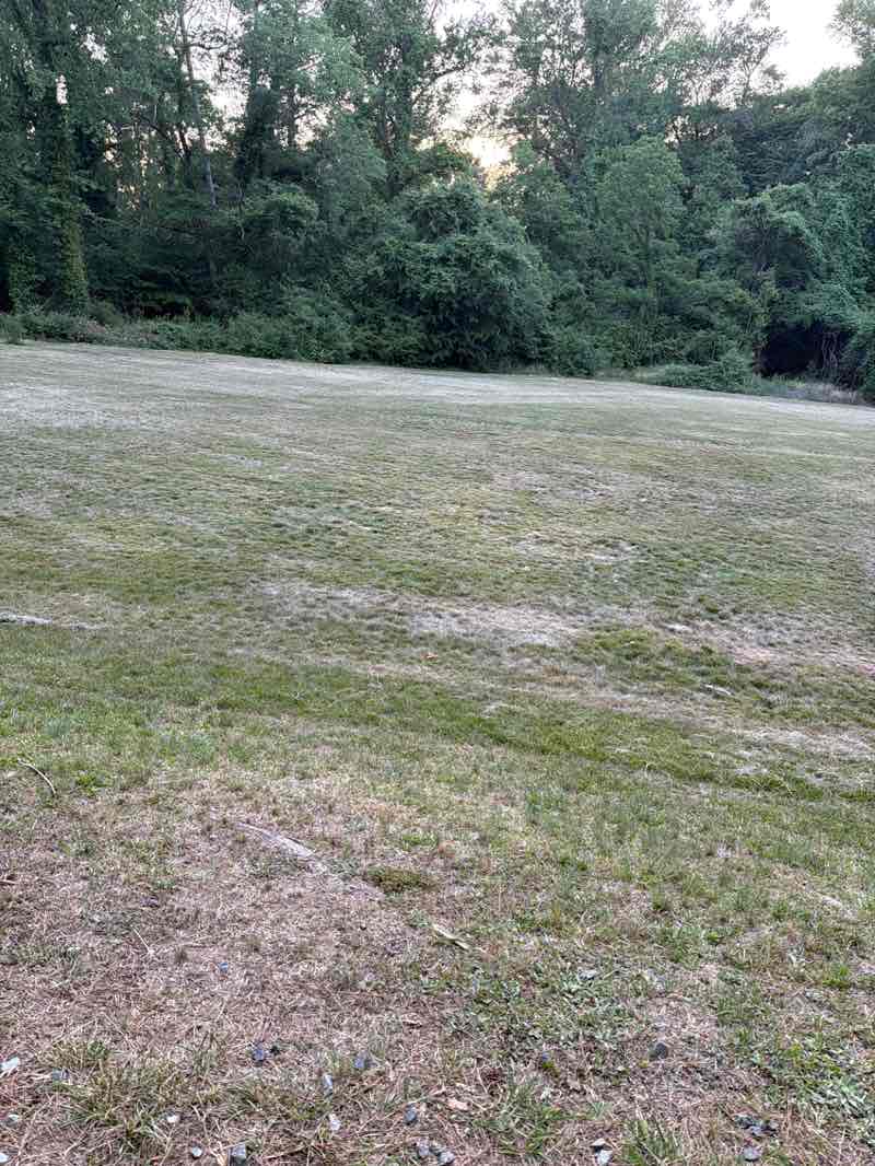 walking near me in Sherwood Park in summer