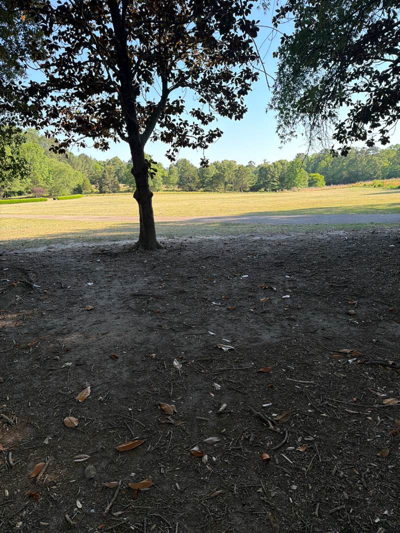 walking near me in Anderson Point Park in summer