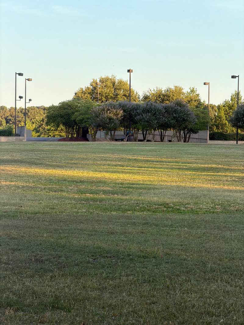 walking near me in Martin Luther King Jr. Park in summer