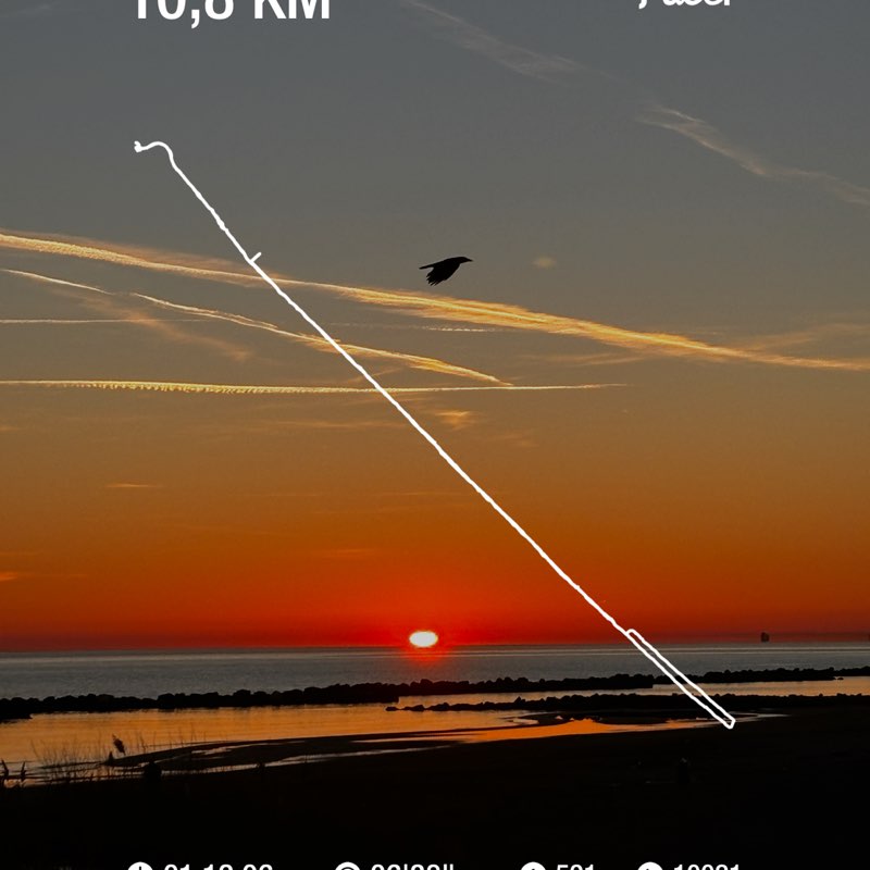 Carmen 🌟🏰🌟 post 1