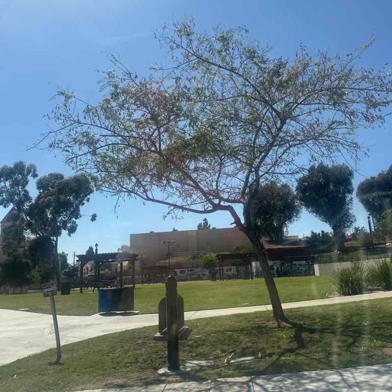 anindita.dash2201 post 1