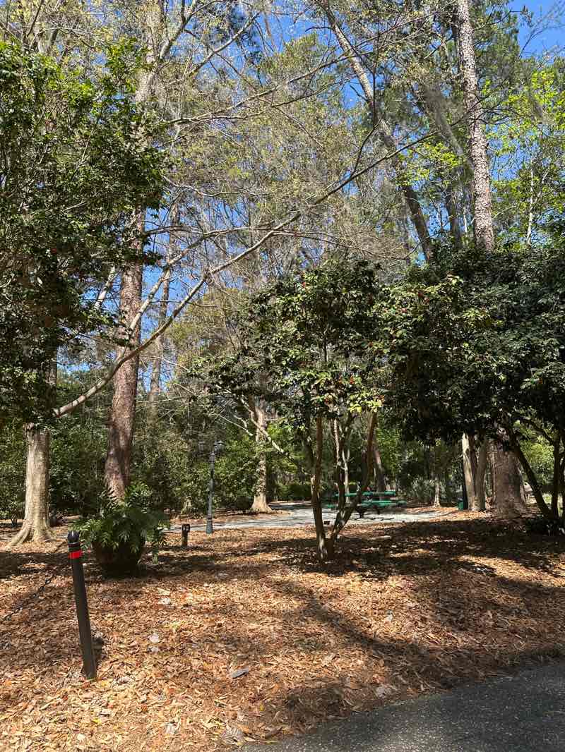 walking near me in Dorothy B Oven Park in spring