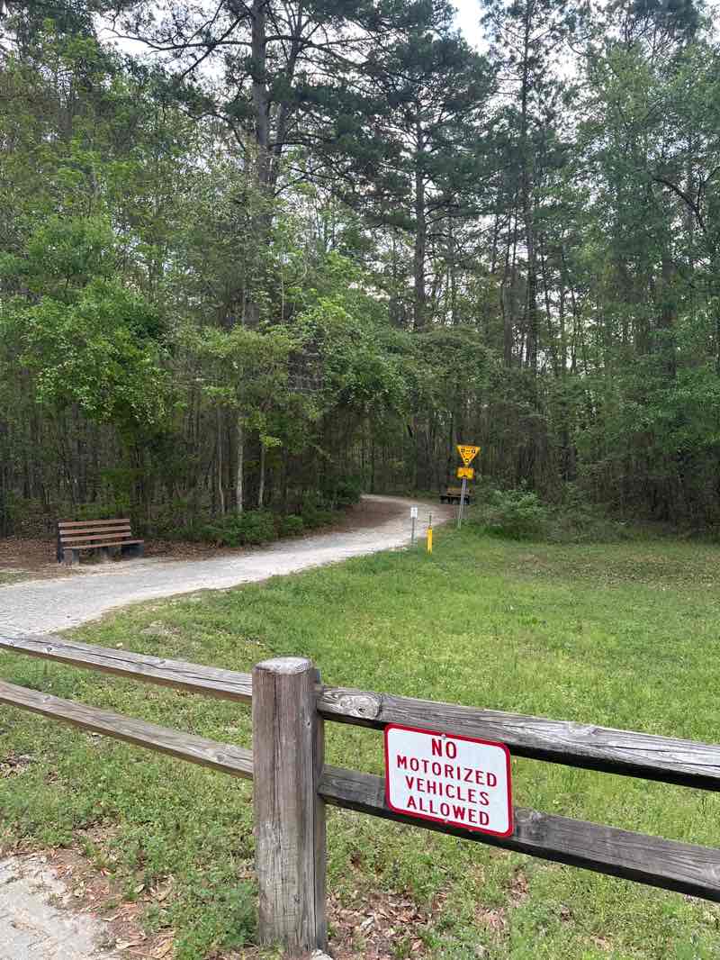walking near me in Miccosukee Canopy Road Greenway in spring