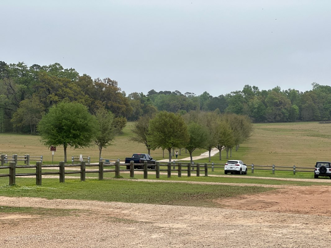 walking near me in J. R. Alford Greenway in spring