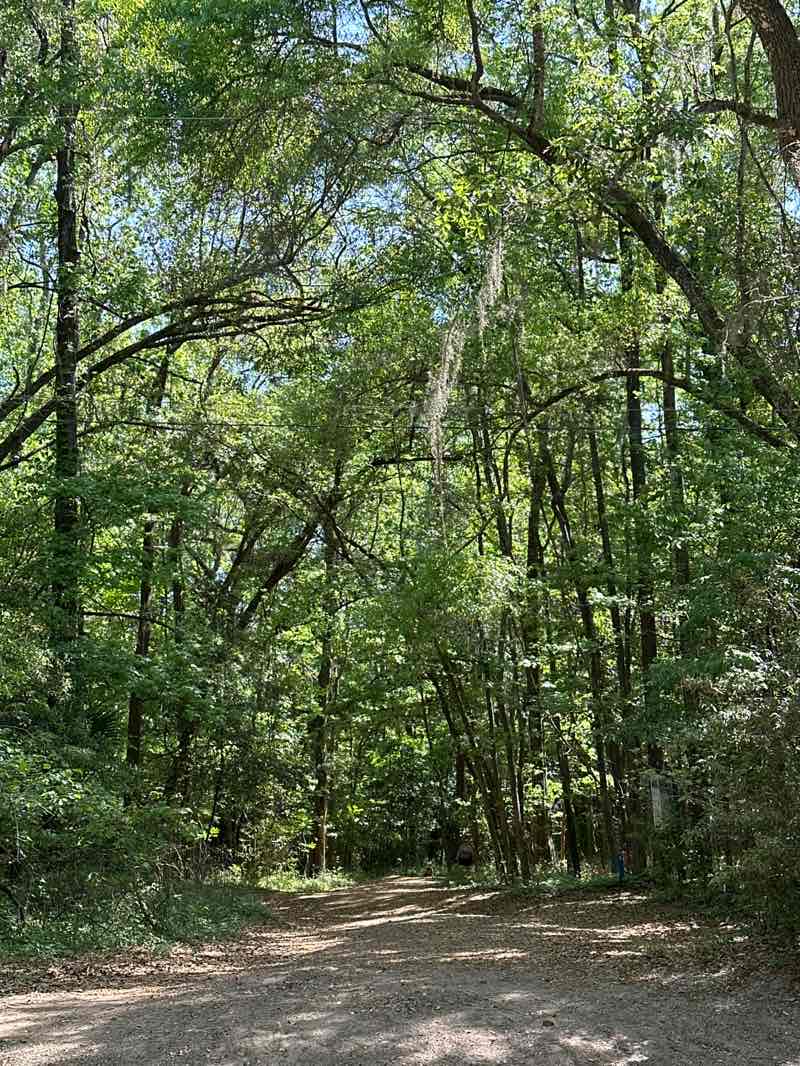 walking near me in Tom Brown Park in spring