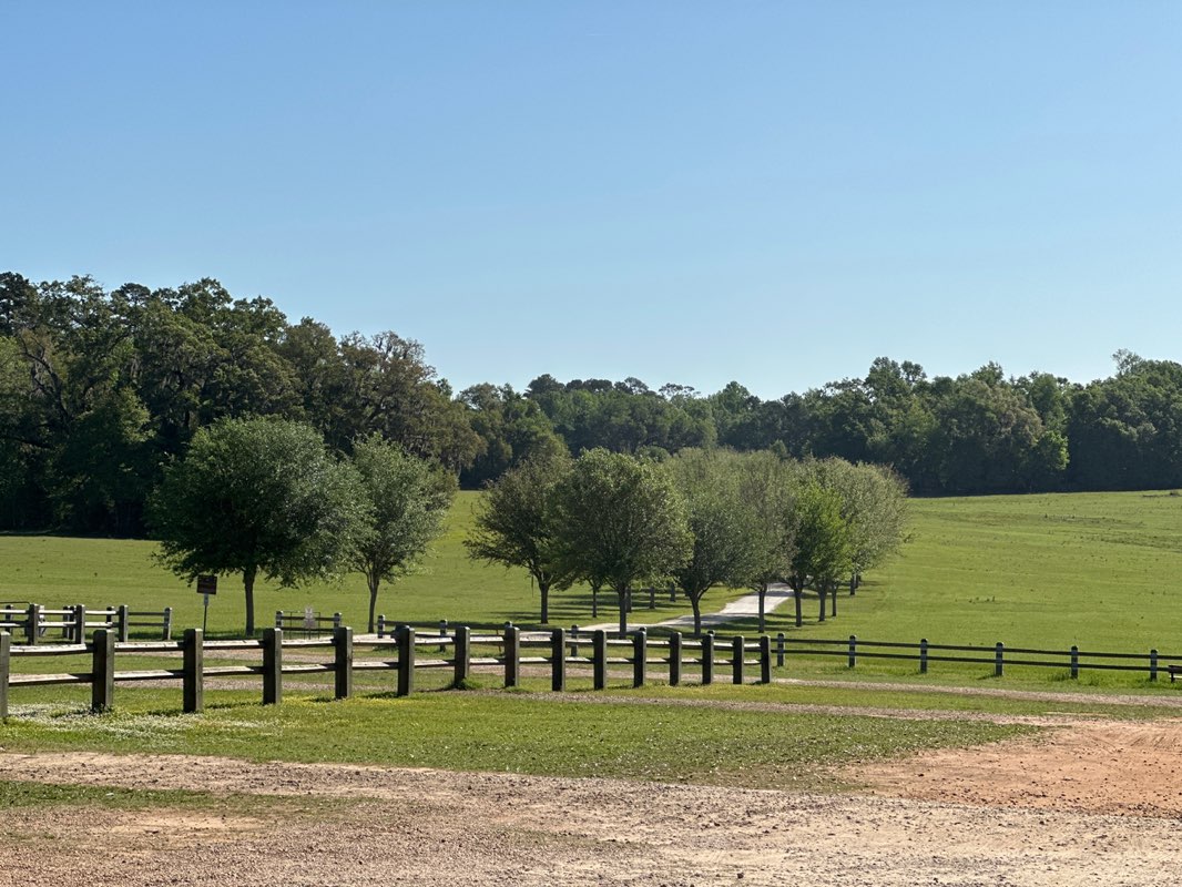 walking near me in J. R. Alford Greenway in spring