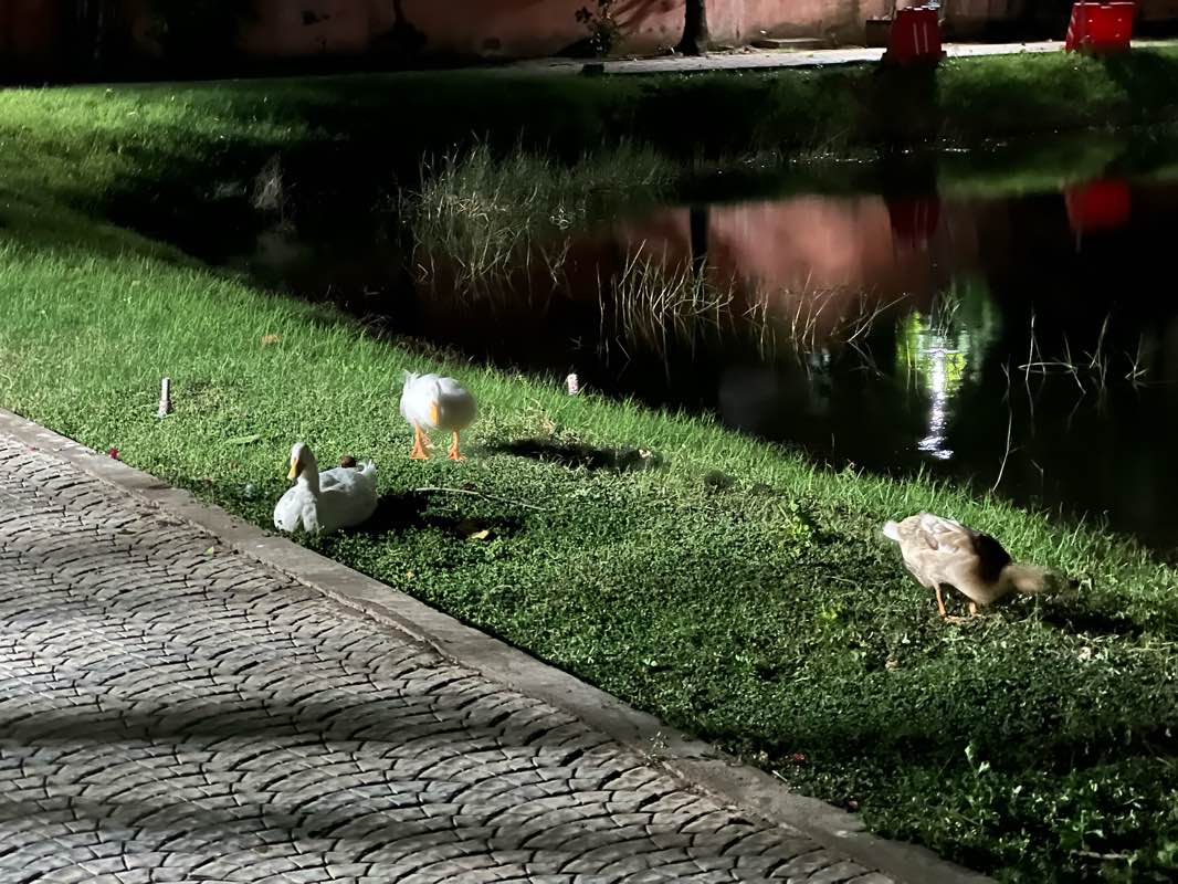 walking near me in Eco Park in winter
