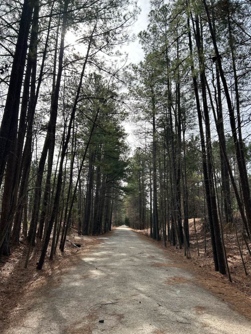 walking near me in American Tobacco Trail Traihead in winter