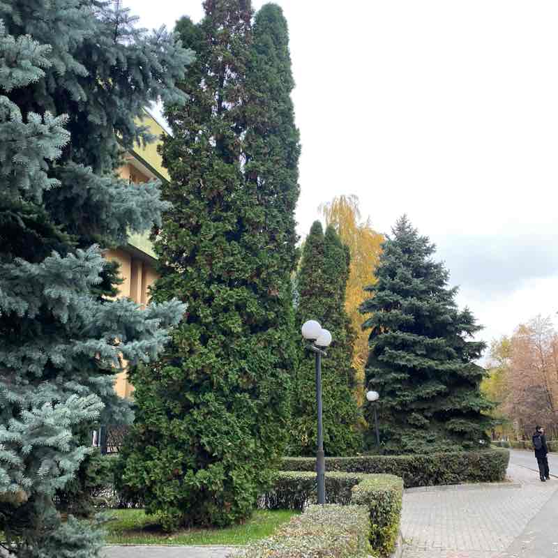 Mytona Billion Steps Анна post image