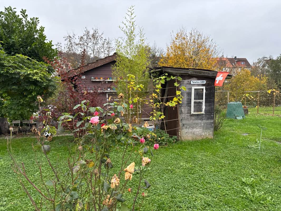 walking near me in Stadtgarten in winter