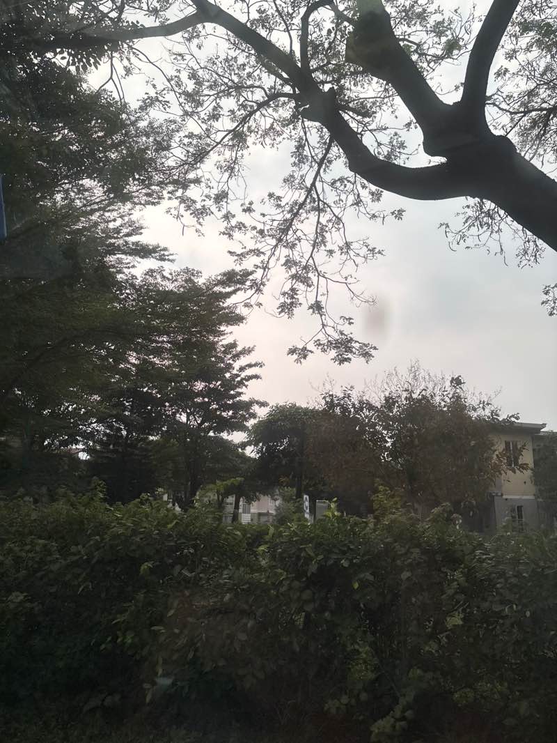 walking near me in Lancaster Estates Model Houses in winter