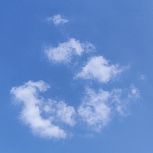 Mohammed Salman profile