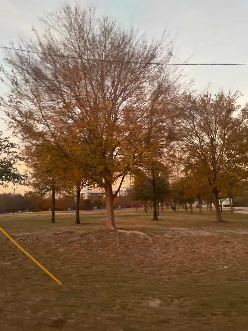 walking near me in Vitruvian Park in winter