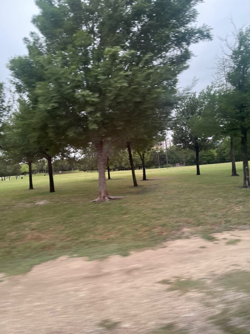walking near me in Vitruvian Park in spring