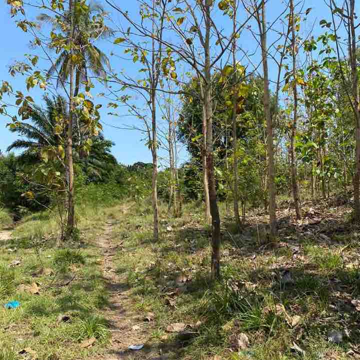 Steps Challenge Wisdom post image