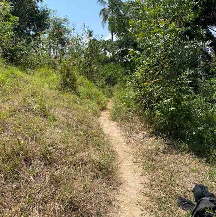 Steps Challenge Wisdom post image