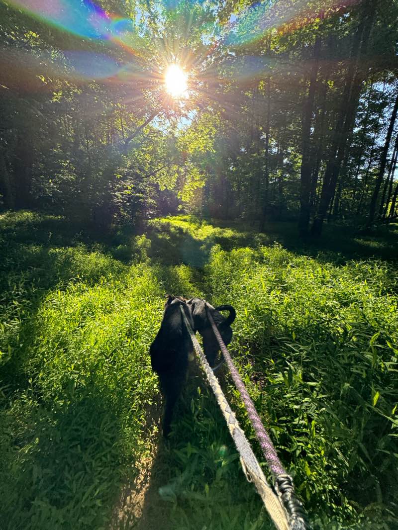 walking near me in Etta Lea & Lawrence Pope Memorial Park in winter