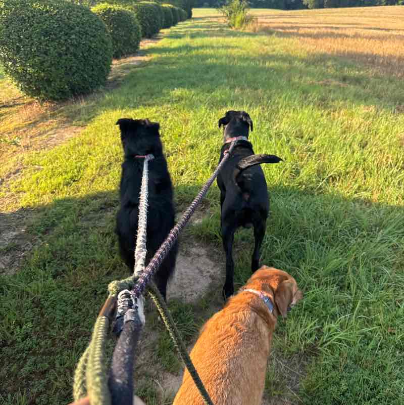 Padyakeros Of The post 2