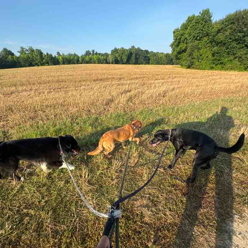 Padyakeros Of The post 1