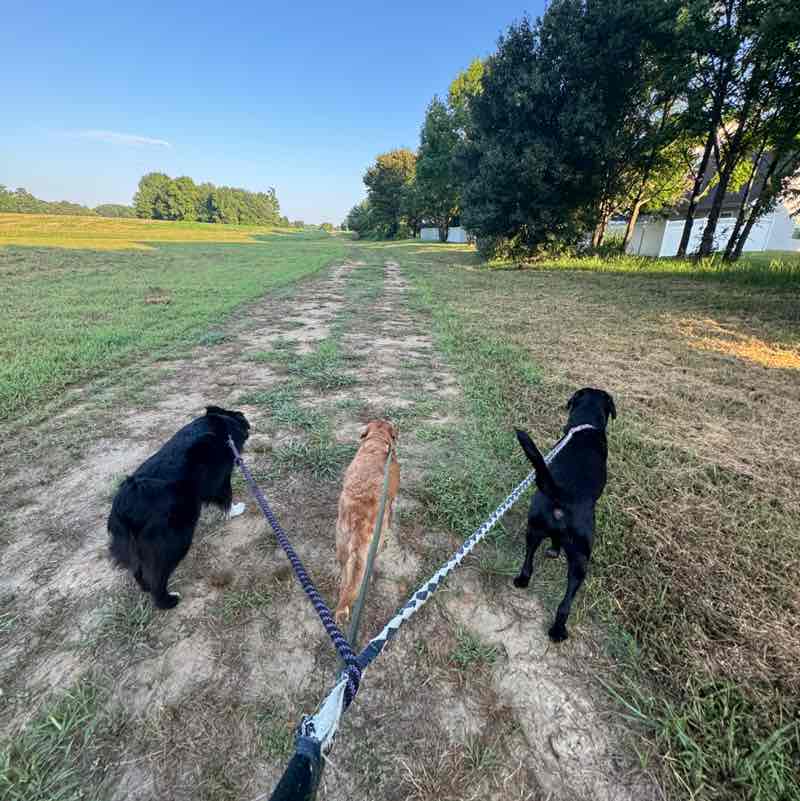 Padyakeros Of The post 1