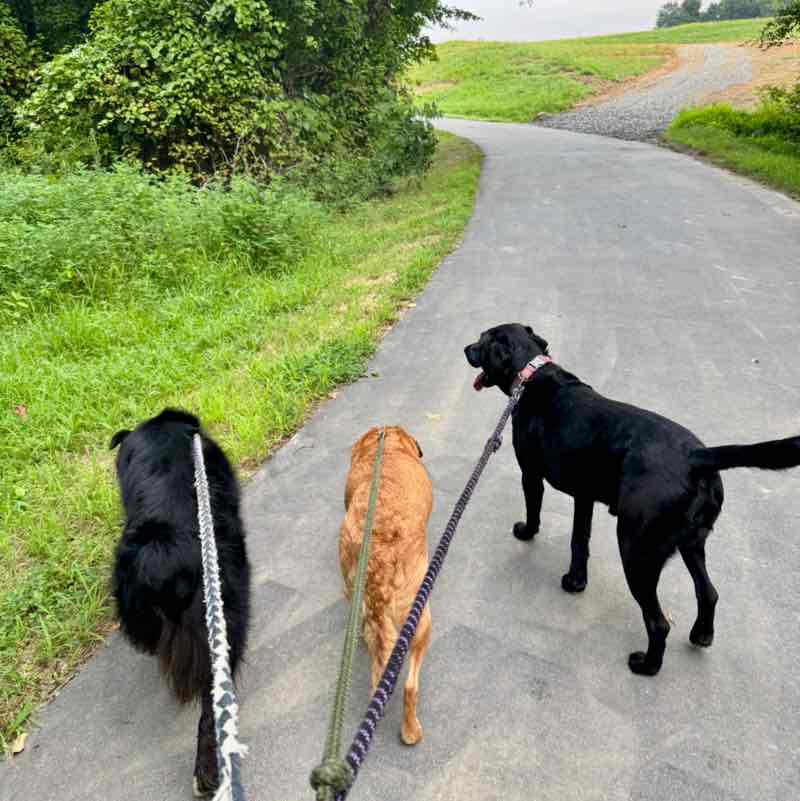 Padyakeros Of The post 1