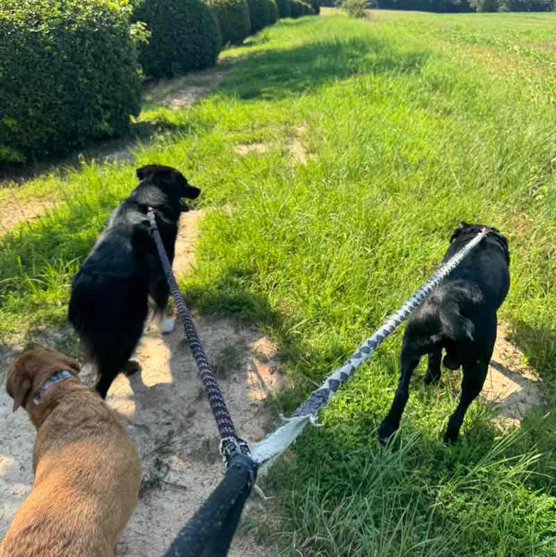 Padyakeros Of The post 1