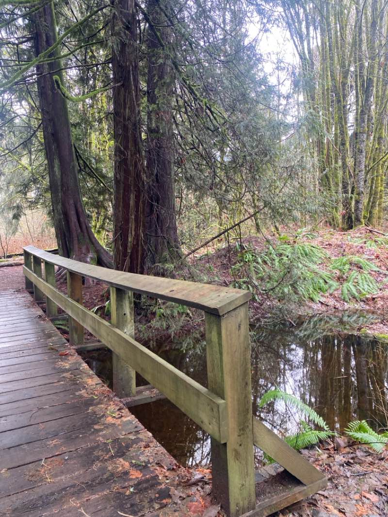 walking near me in Smoke Bluffs Park in winter