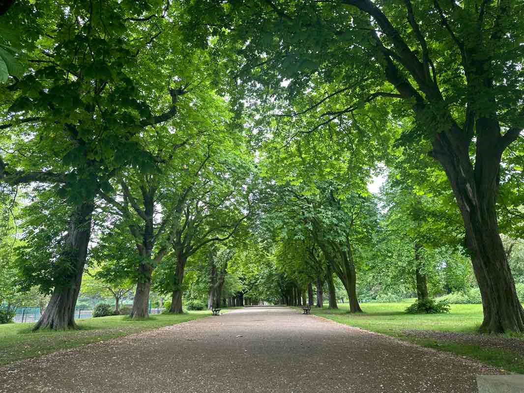 walking near me in Albert Park in winter