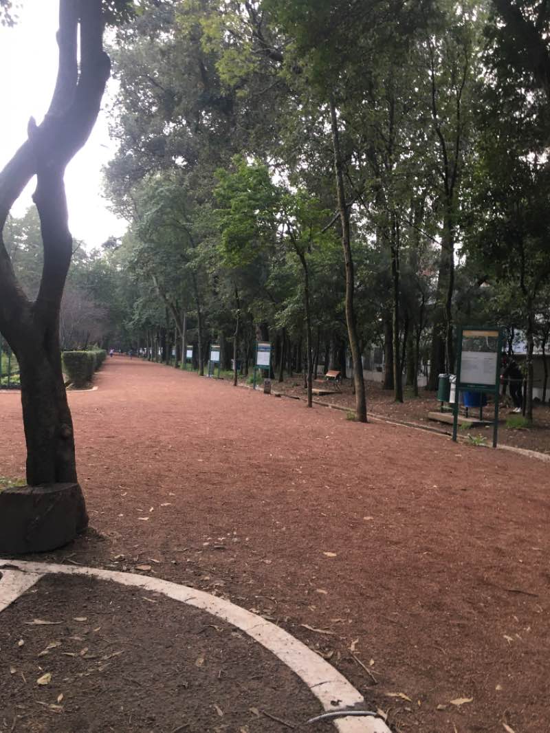 walking near me in Vivero Coyoacán in winter