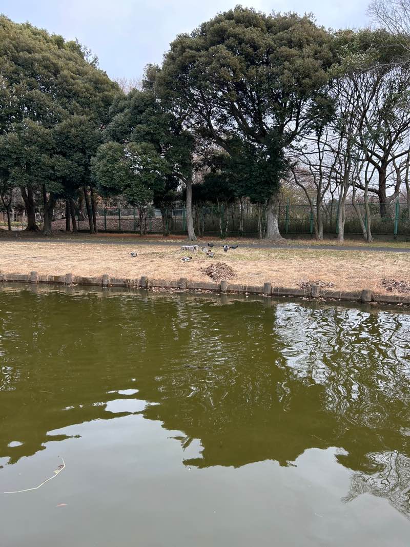 walking near me in 相模台公園 in winter