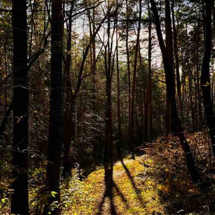 Настюшка post 3