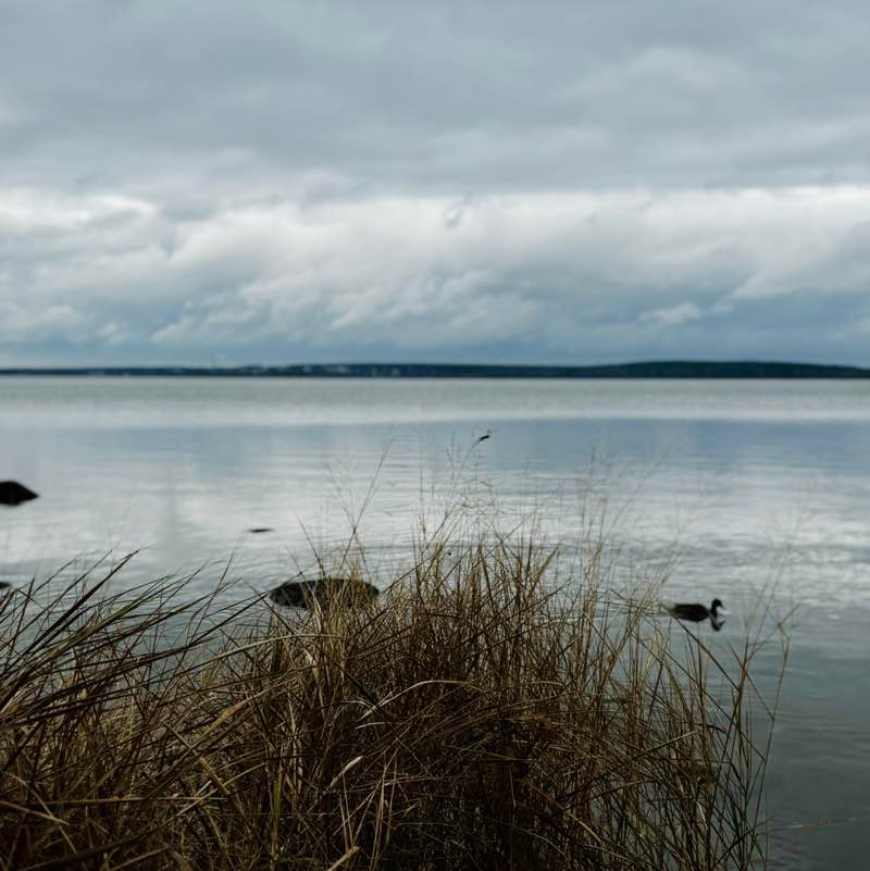 Настюшка post 1